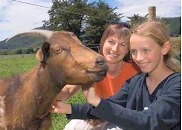 Smiths Farm Holiday Park