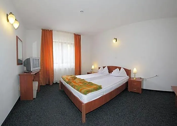 Hotel Paltinis