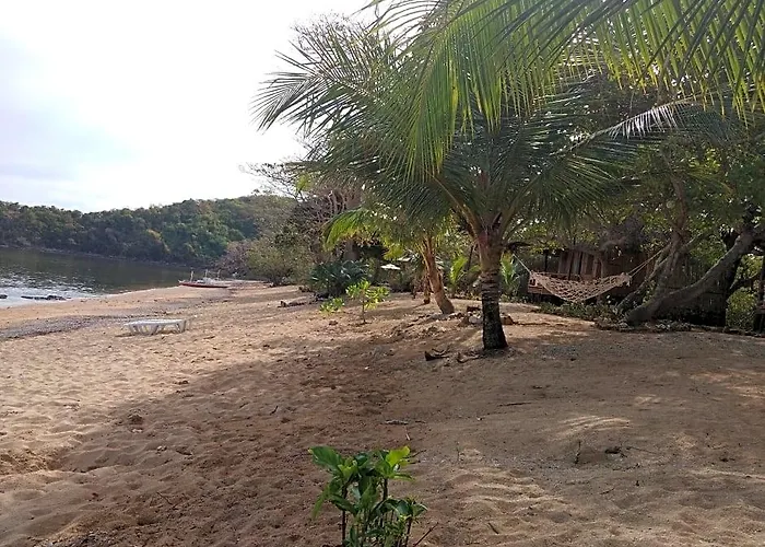 Cashew Grove Beach Resort