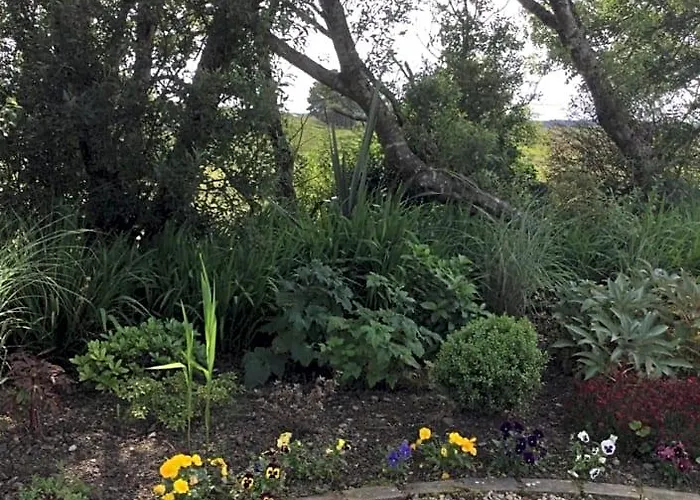 Tullybeggs B&B