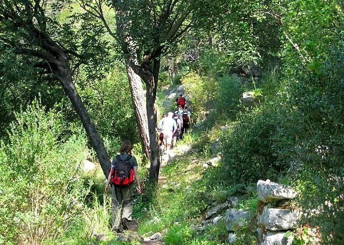 Olympos Mitos