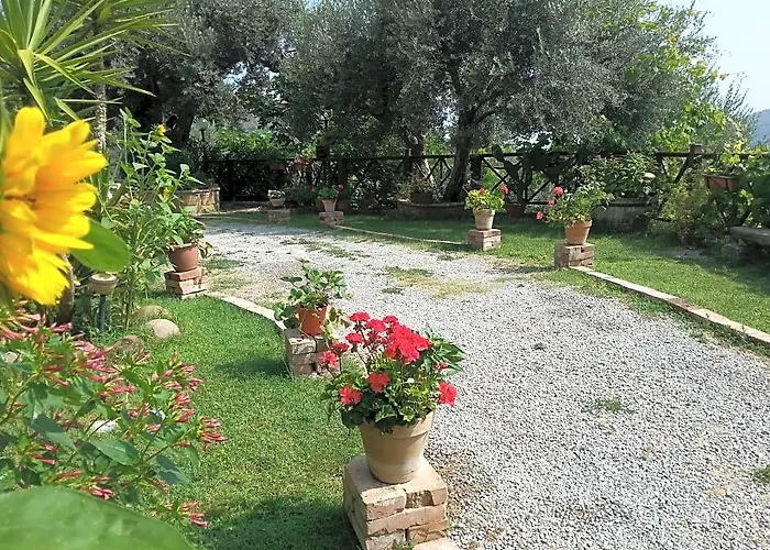 Agriturismo L'Uliveto