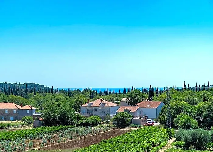Apartments Amalija