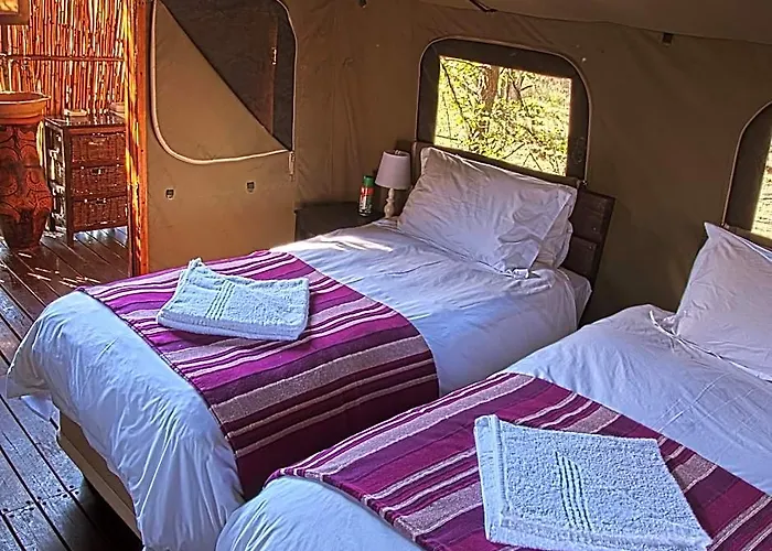 Shindzela Tented Safari Camp And Walking Safaris Accommodation