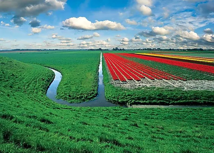 Hotelhuisjes Andijk