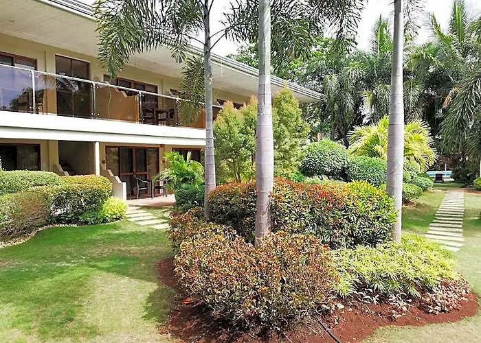 Alona Golden Palm