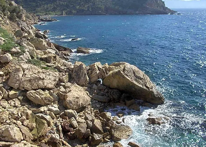 Cota Quinta