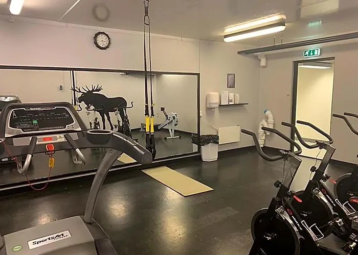 Basecamp Frich'S Hjerkinn