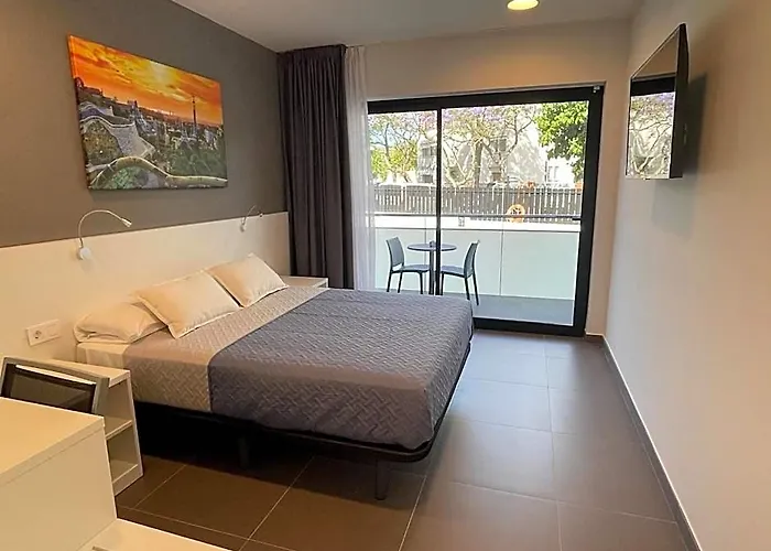 Hotel C31