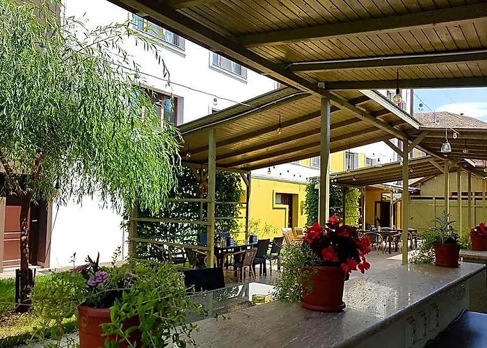 Hotel Dacor