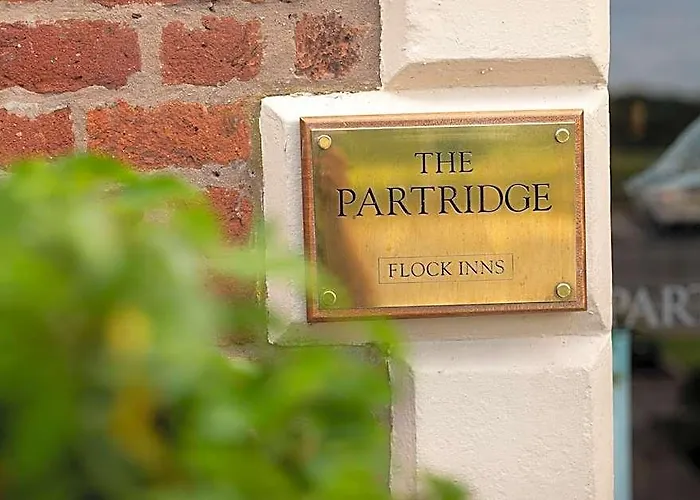 The Partridge