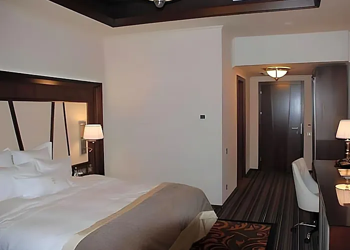 Hotel Metropolis