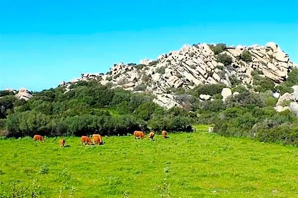 Costa Serena Village Boschetto Holiday