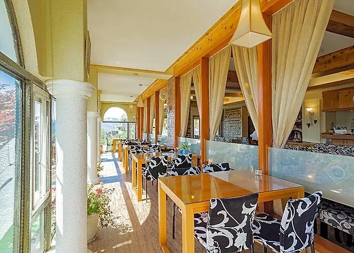 Egmont Mountain House