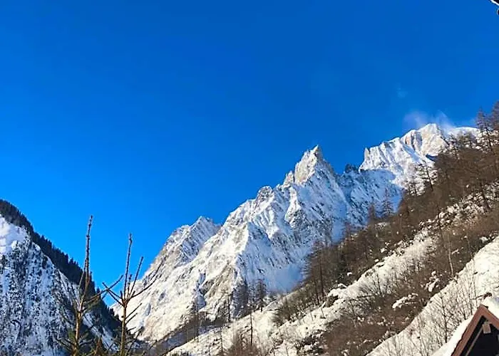 Hotel Chalet Joli