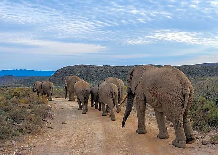 Sanbona Wildlife Reserve