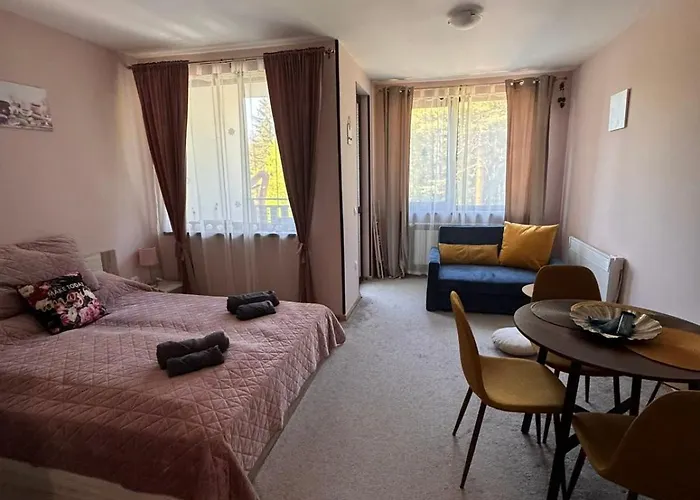 MVS Borovetz Gardens Apart E28 studio