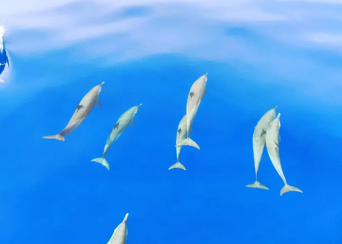 Ocean Bounty