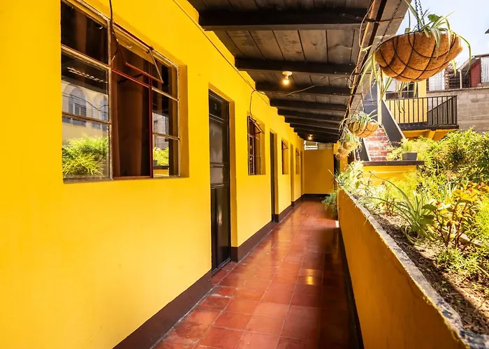 Hotel Itzel
