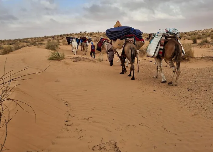 Campement Sahara Oasis Douz