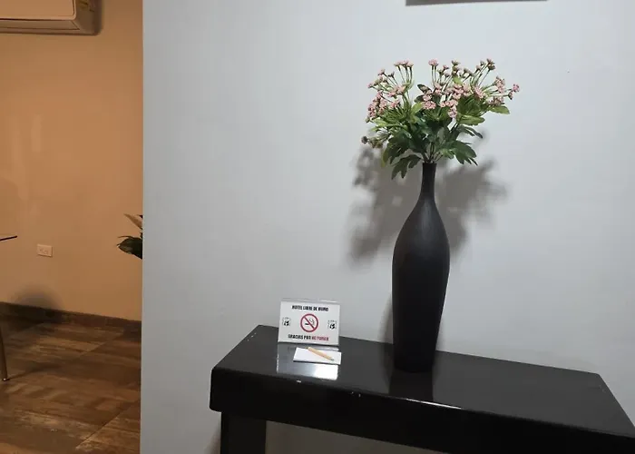 Hotel Y Suites Panda