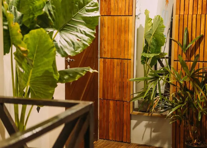 Piano Piano Hostel