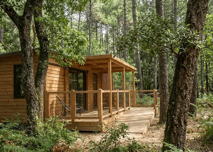 La Foret Paloma, Ecolodge