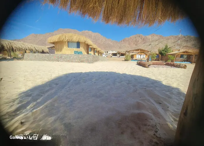 Viva La Vida Beach Camp