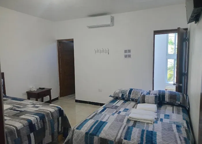 Hotel alicia