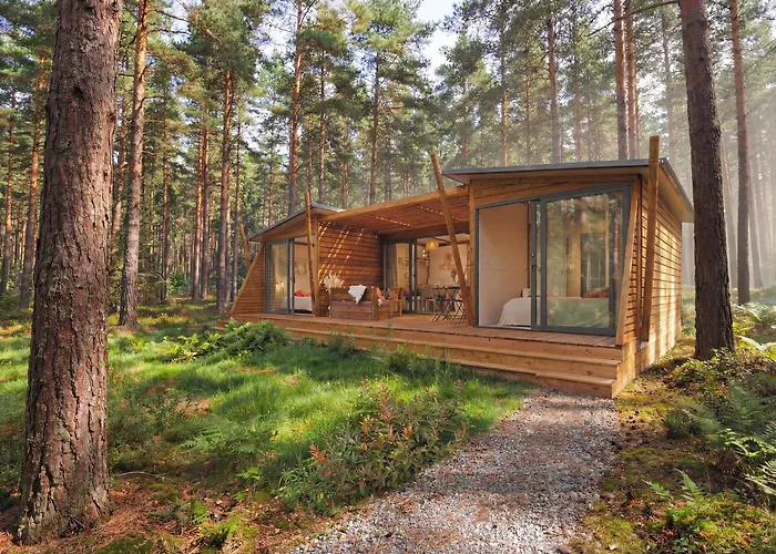 La forêt PALOMA, Ecolodge