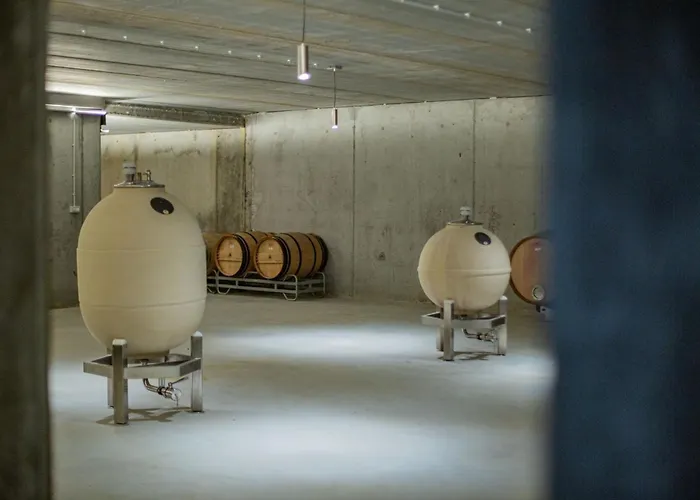 Bodega Discolo