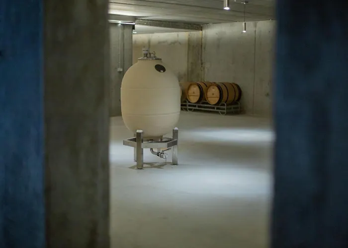 Bodega Discolo