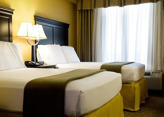 Holiday Inn Express Hotel & Suites Dallas Fort Worth Airport South By Ihg