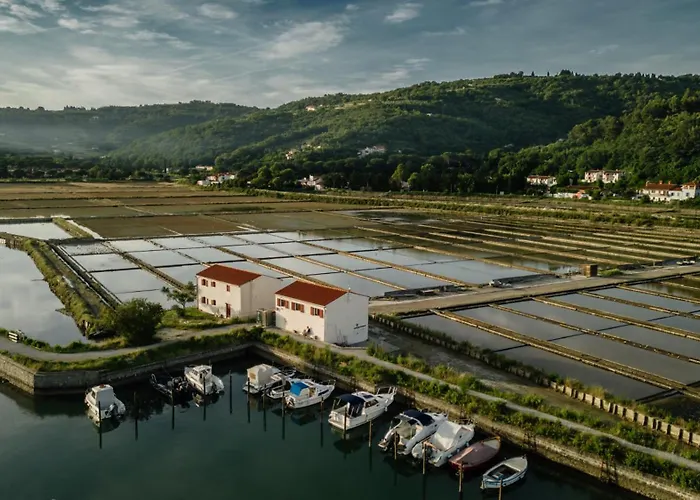 Holiday Park Vile - Terme Krka
