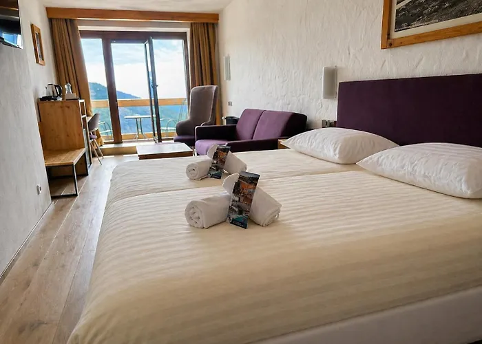 Erlebachova Bouda, Hotel - Resort Svaty Frantisek
