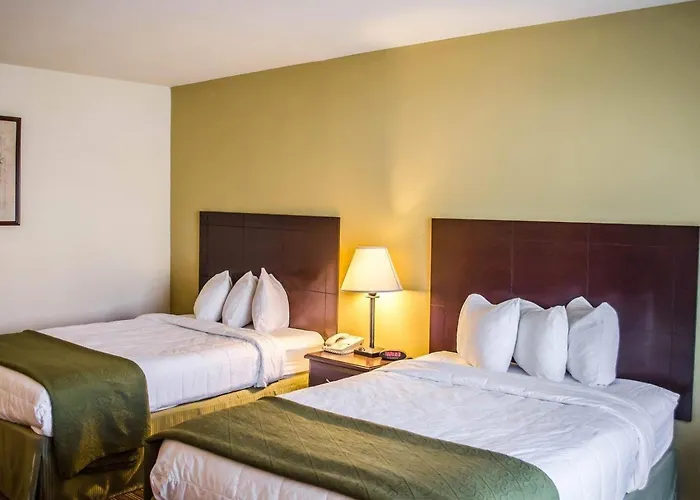 Quality Inn & Suites Pensacola Bayview