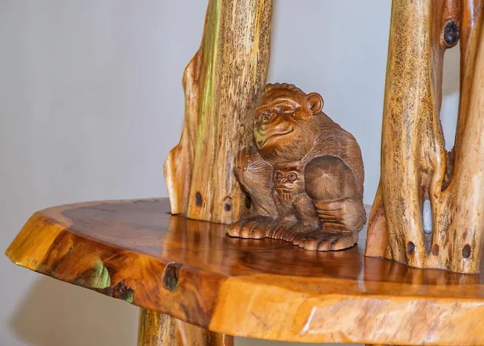 Lost Iguana Resort And Spa