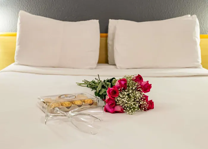 Ibis Santo Andre