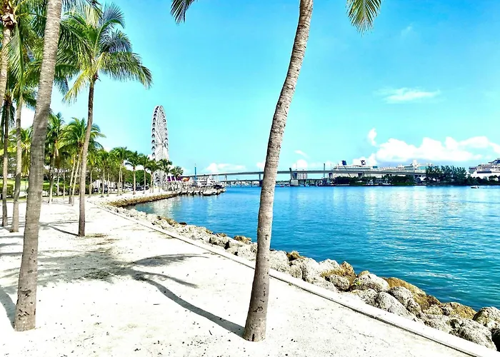Atwell Suites Miami Brickell By Ihg