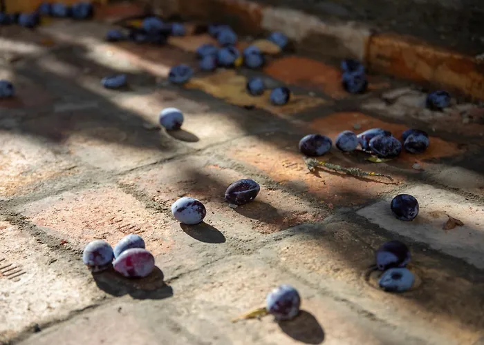 Aragvispiri Wine Cellar