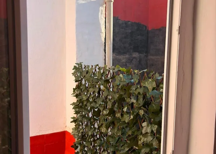 Cami Real Hostel