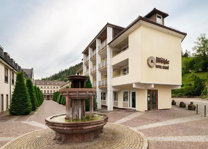 Hotel Muehle