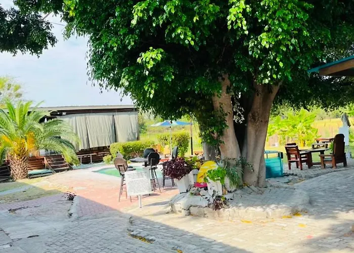 Big Tree Valley Hotel