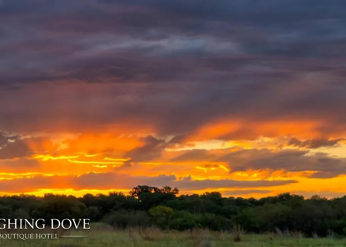 Laughing Dove Boutique Hotel