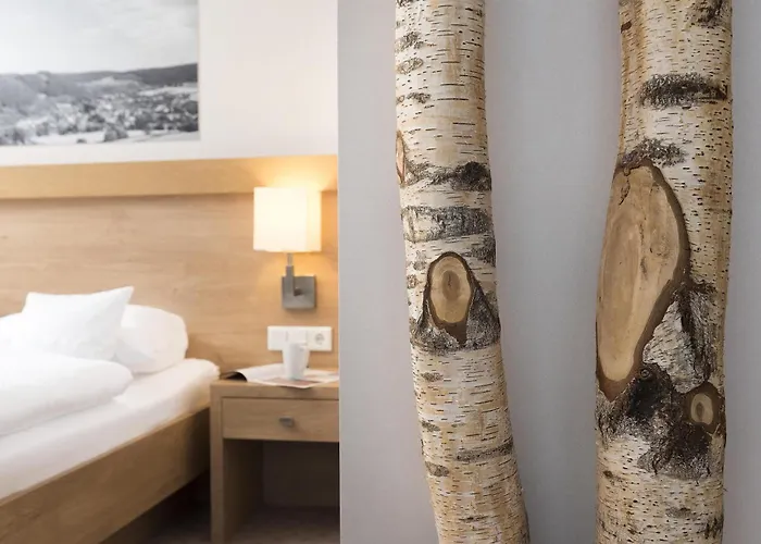 Best Western Plus Hotel Willingen