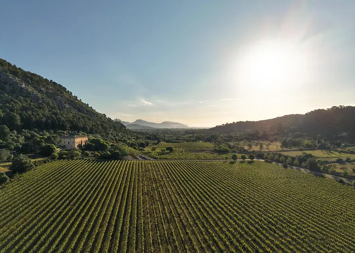 Son Brull Hotel&Spa - Relais&Chateaux