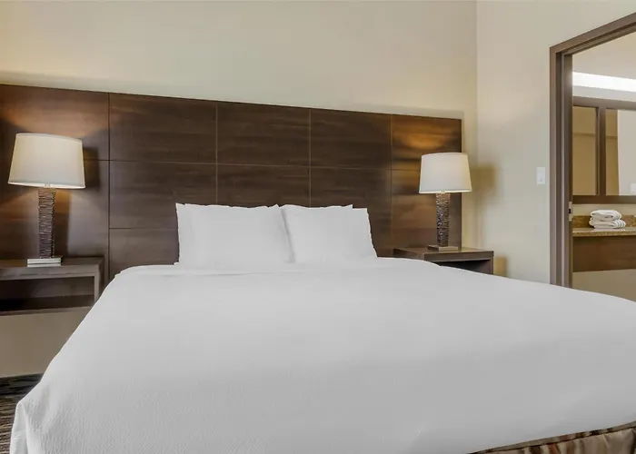 Best Western Plus Bridgewater Hotel & Convention Centre