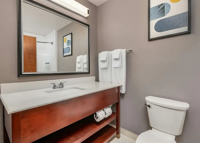City Express By Marriott Spring North Houston