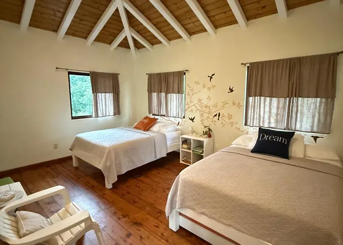 La Casa de Pucha Surf History&Tropical Stay