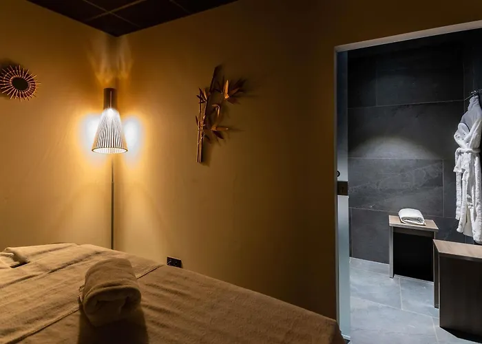 Novotel Suites Colmar Centre